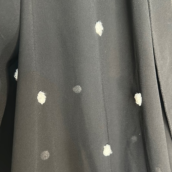 Black Sheer Polka Dot Blouse - Picture 3 of 6
